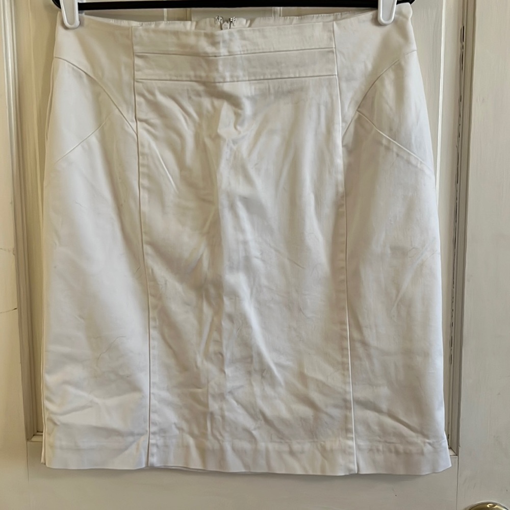 Worthington Skirt